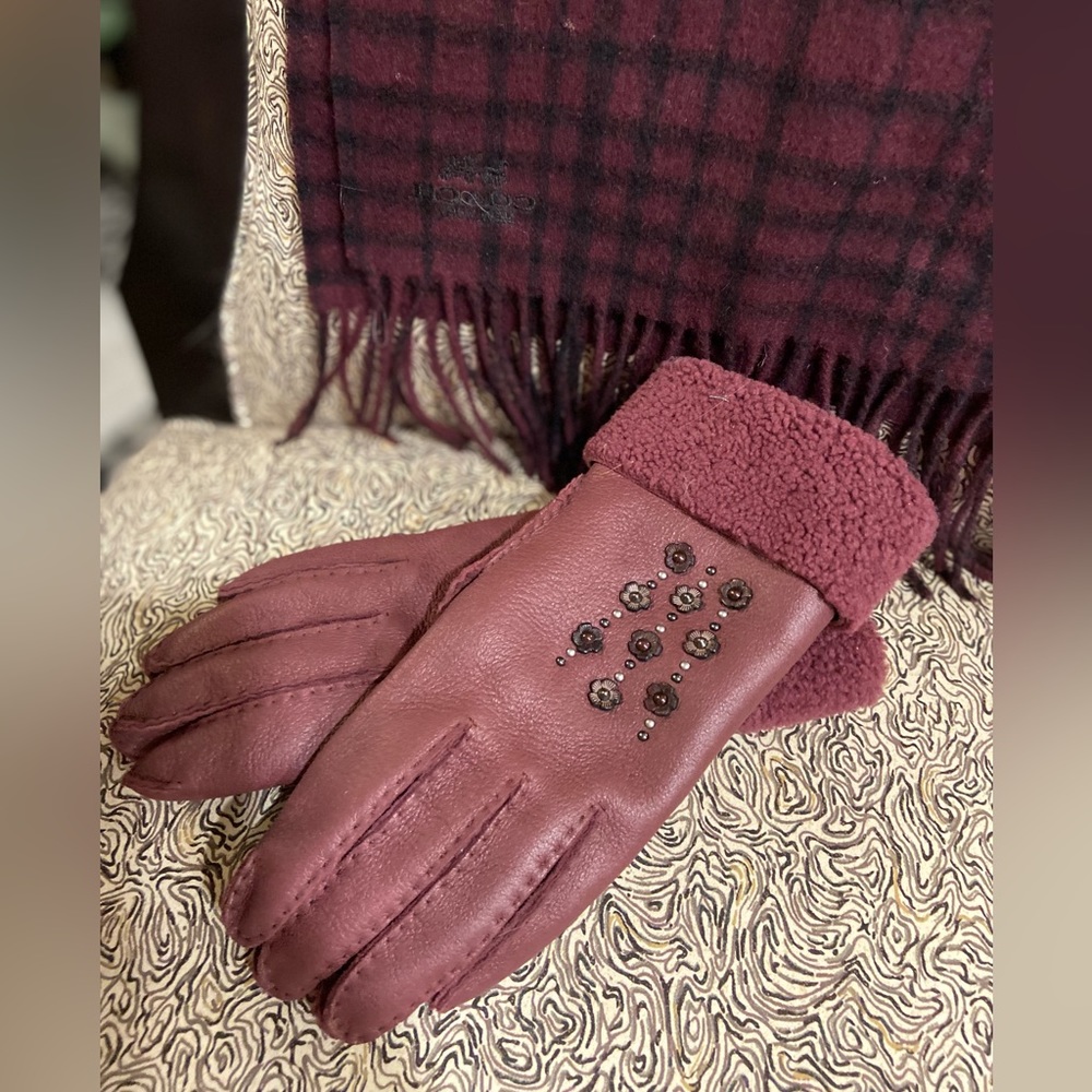 Coach Set - Scarf and Gloves